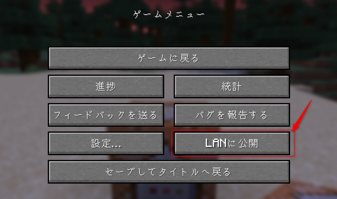 LAN公開をクリック