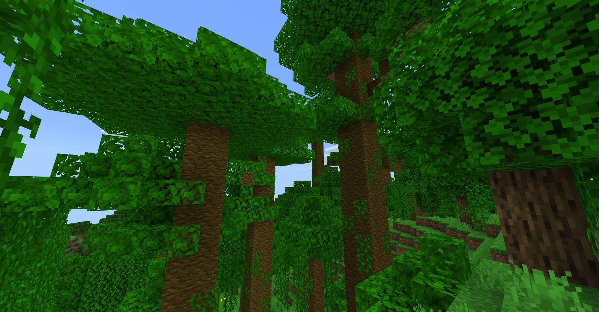 ジャングルの木を探す
